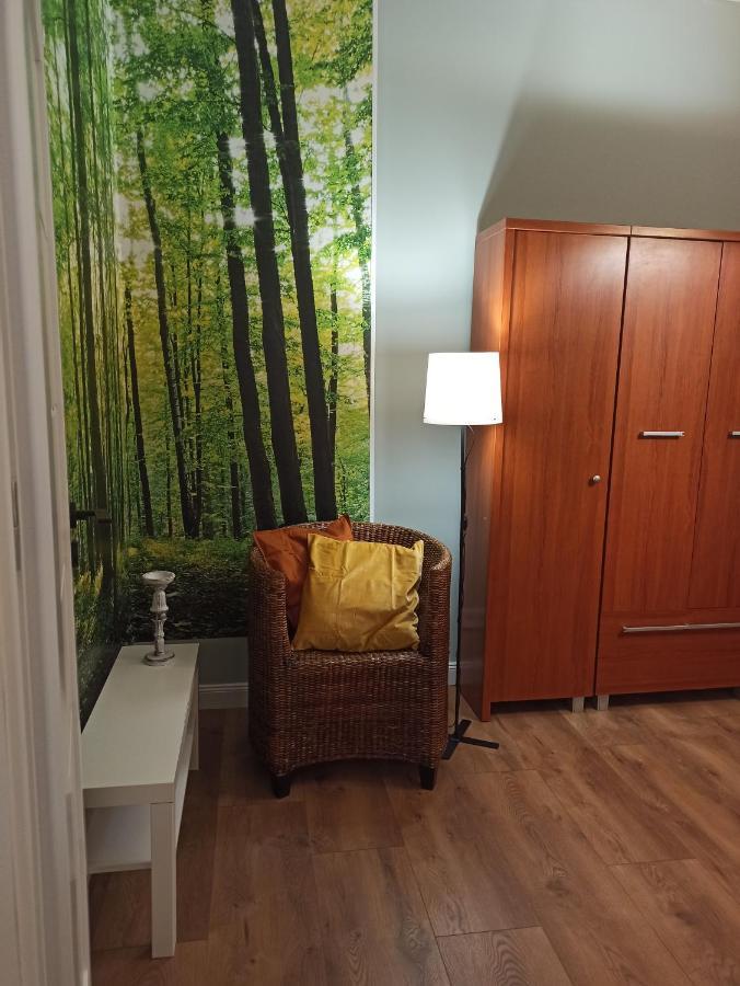 Apartament Rozeta Centrum 6Os Legnica Bagian luar foto