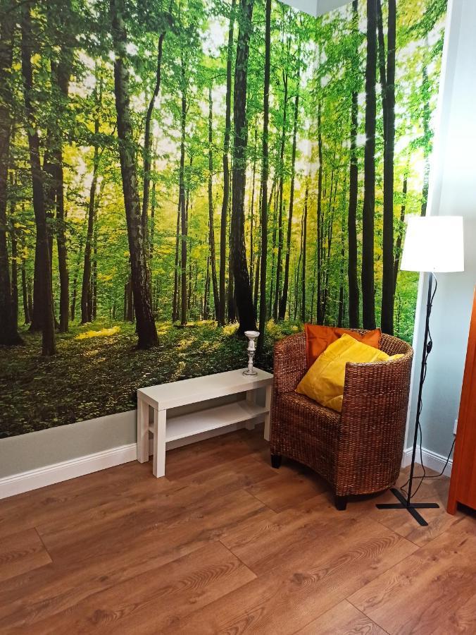 Apartament Rozeta Centrum 6Os Legnica Bagian luar foto