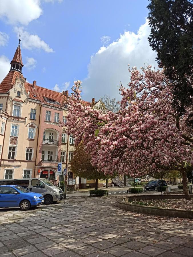 Apartament Rozeta Centrum 6Os Legnica Bagian luar foto