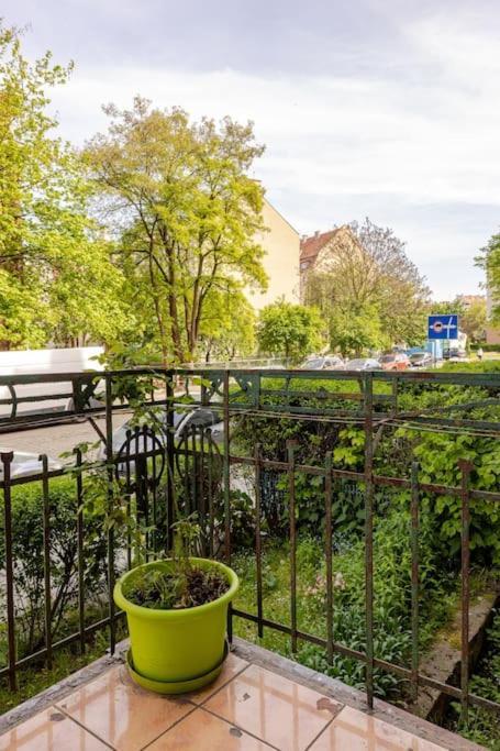 Apartament Rozeta Centrum 6Os Legnica Bagian luar foto